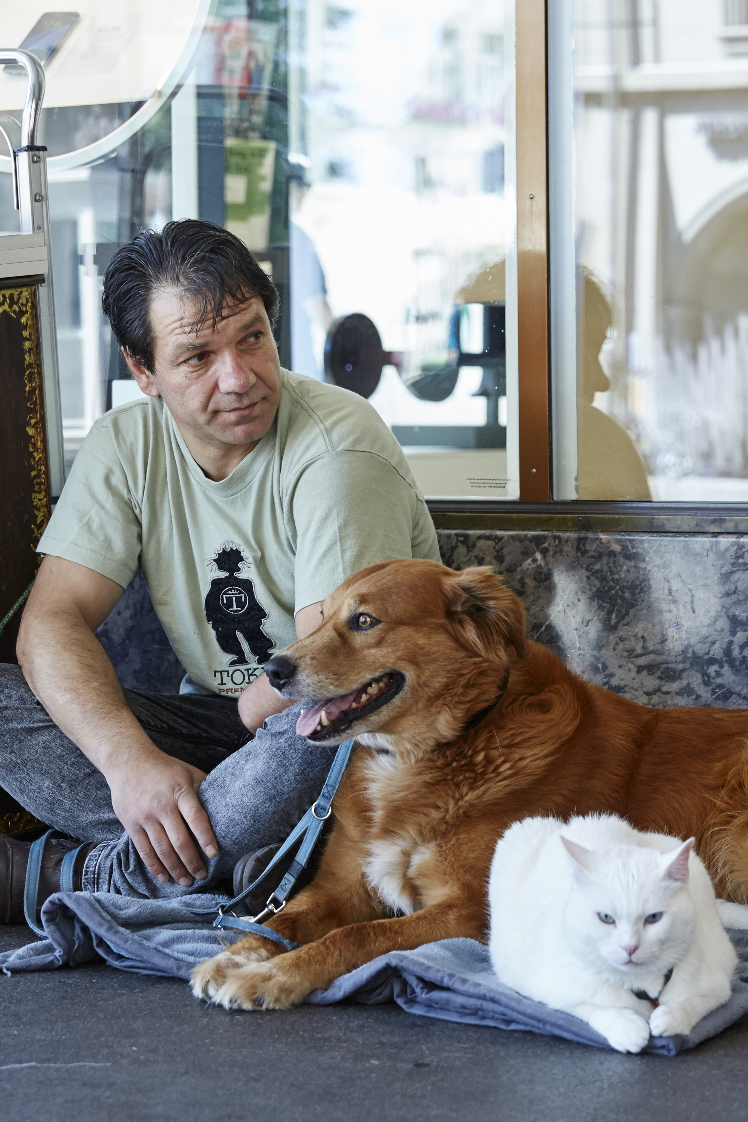 From Bulgaria to Switzerland: A Street Odyssey with a Dog and a Cat