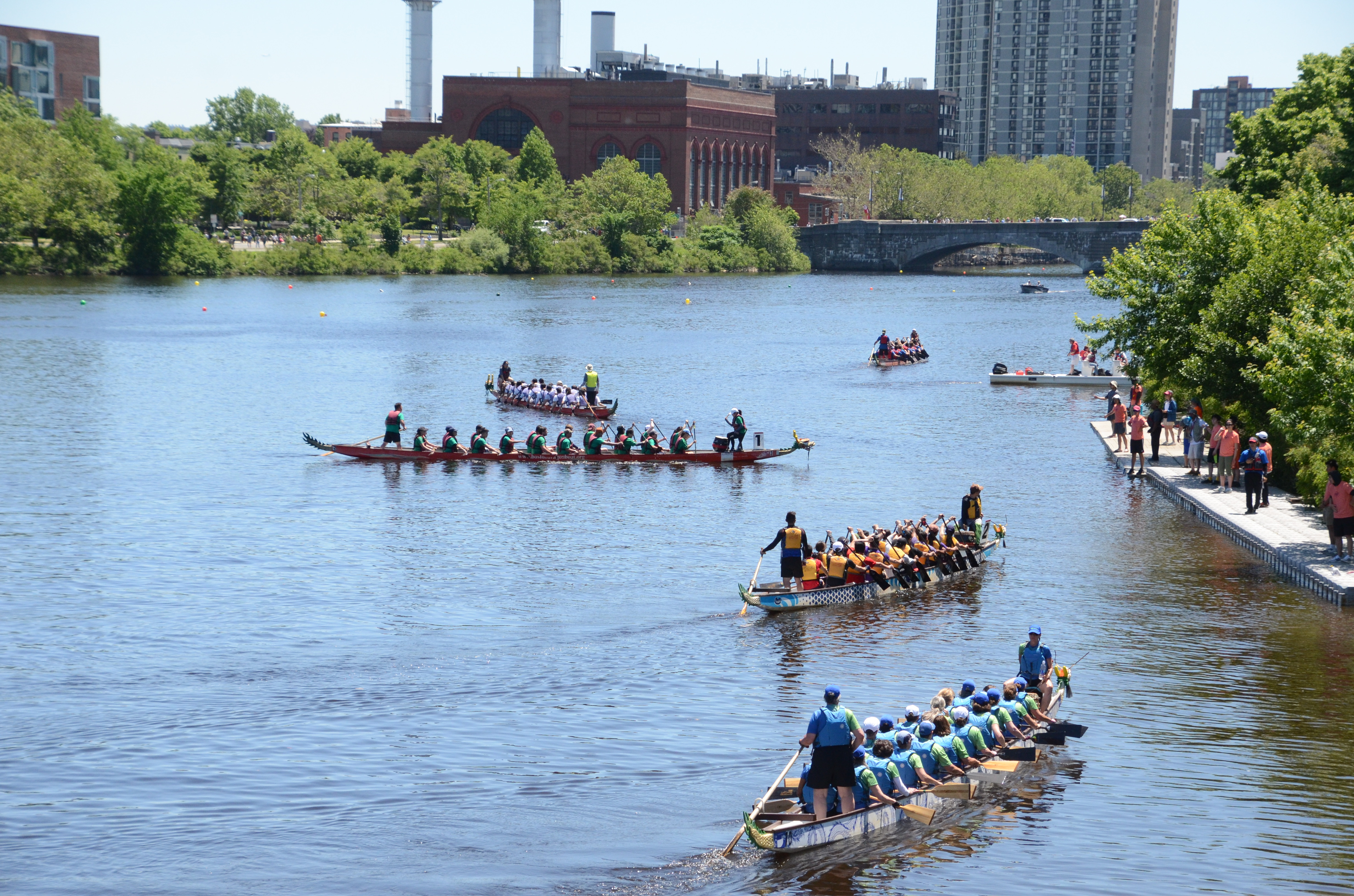 Boston Dragon Boat Festival celebrates Asian American culture and heritage